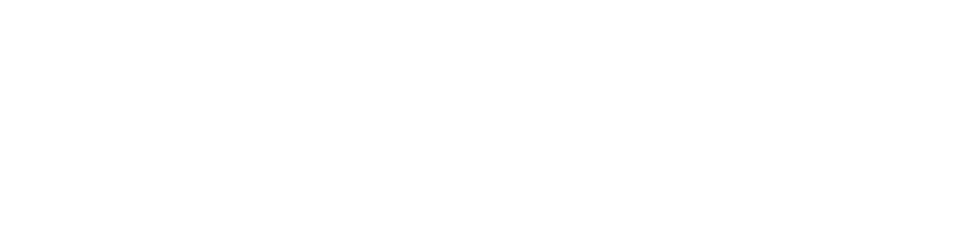 ニッセイプラス 少額短期保険