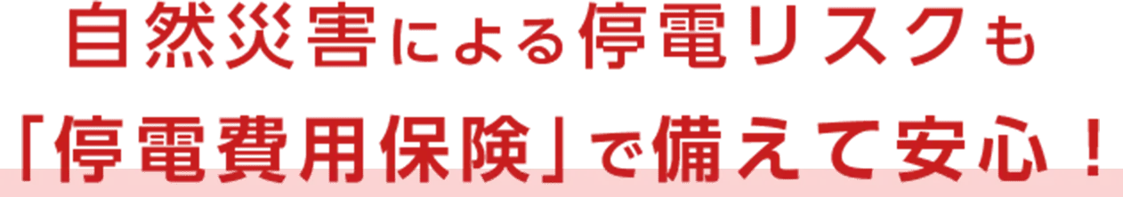 自然災害による停電リスクも「停電費用保険」で備えて安心 ！